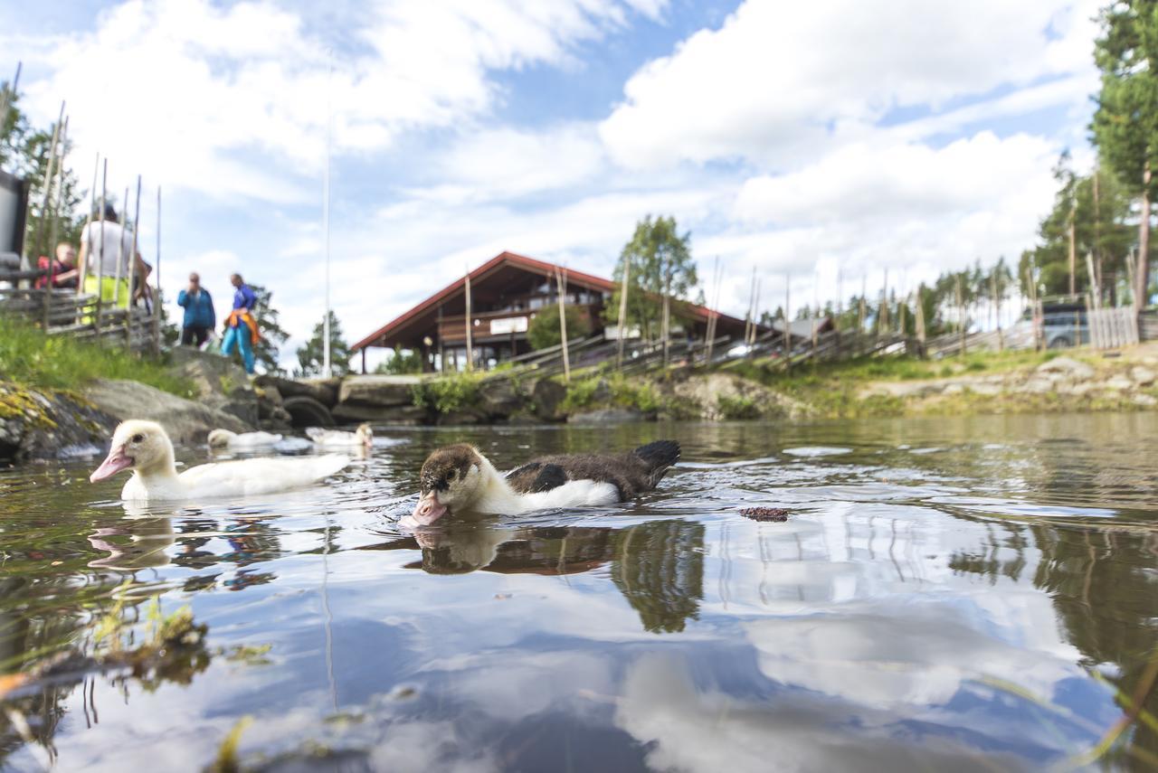 Jaktstuga Hytter Dombås